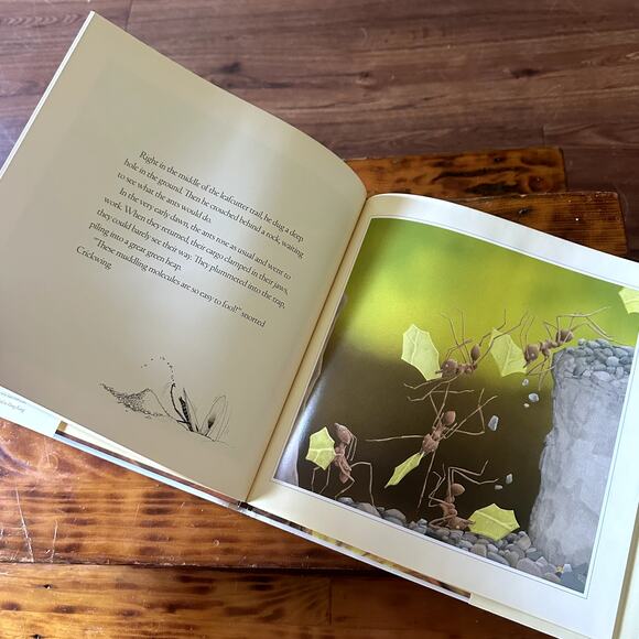 Vintage 2000 Crickwing Paperback Book - Picture 3 of 8